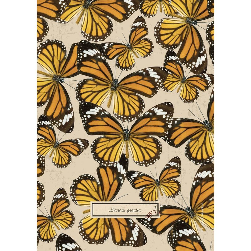 3660942072090-Agenda Curiosités - 1 jour par page - 12 x 17 cm - disponible dans différentes couleurs-P_400005842_11-4