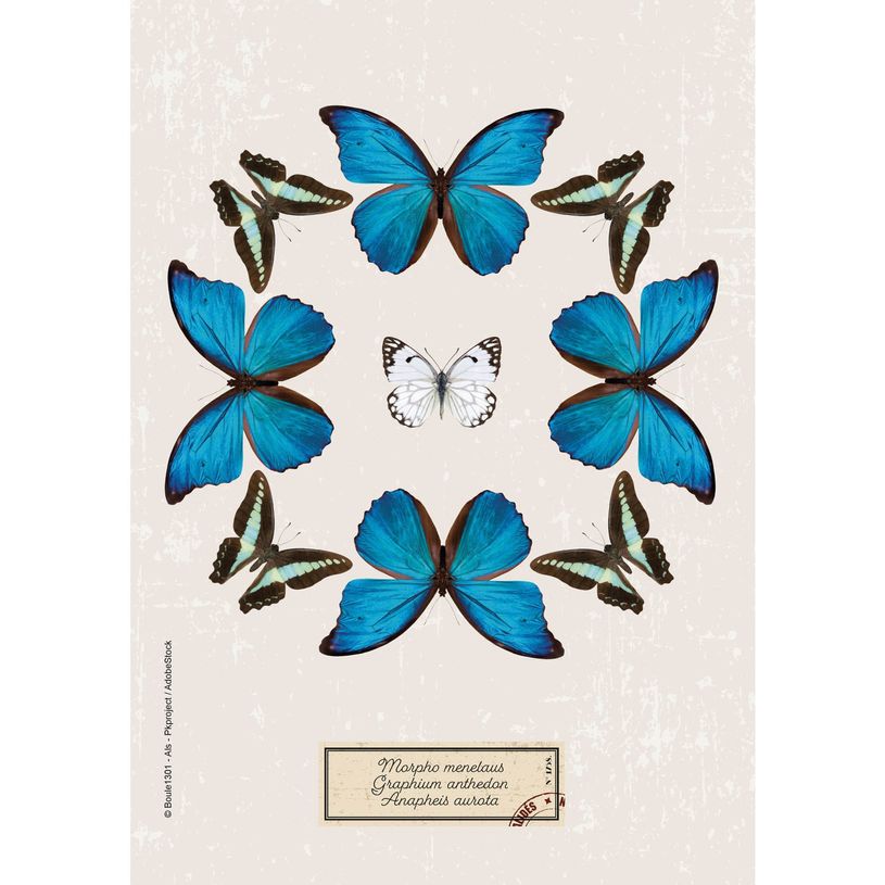 3660942072090-Agenda Curiosités - 1 jour par page - 12 x 17 cm - disponible dans différentes couleurs-P_400005842_12-5