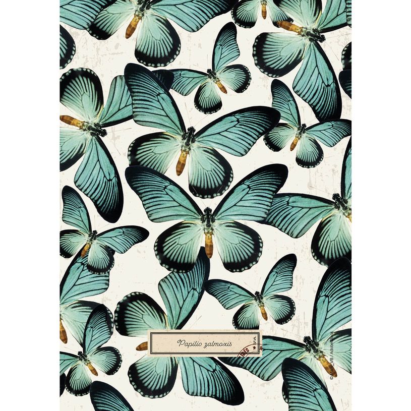 3660942072090-Agenda Curiosités - 1 jour par page - 12 x 17 cm - disponible dans différentes couleurs-P_400005842_14-7