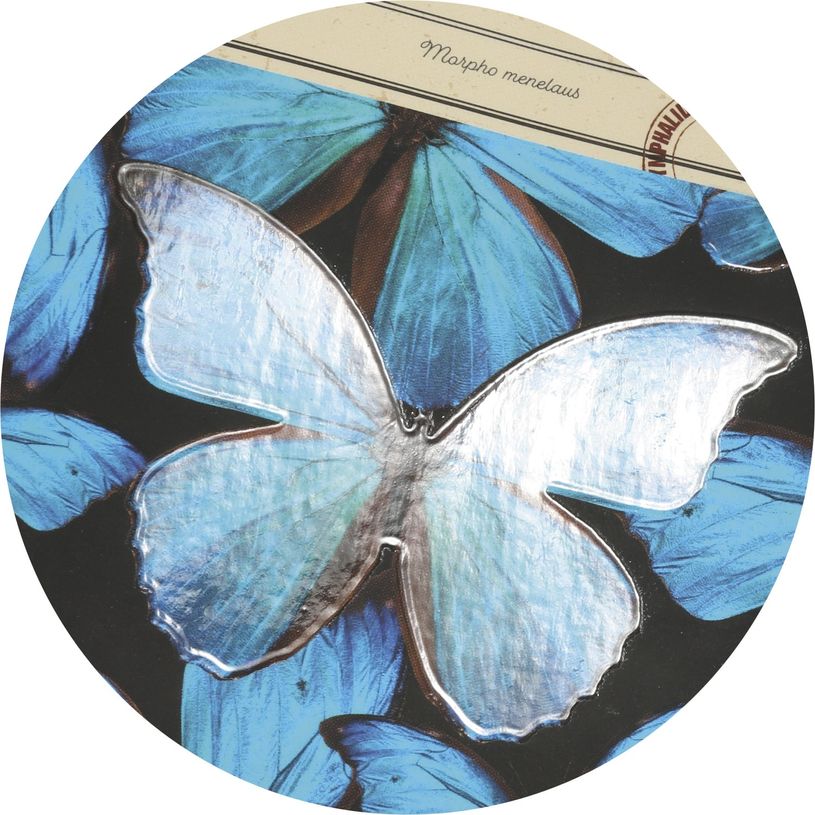 3660942072090-Agenda Curiosités - 1 jour par page - 12 x 17 cm - disponible dans différentes couleurs-P_400005842_15-8