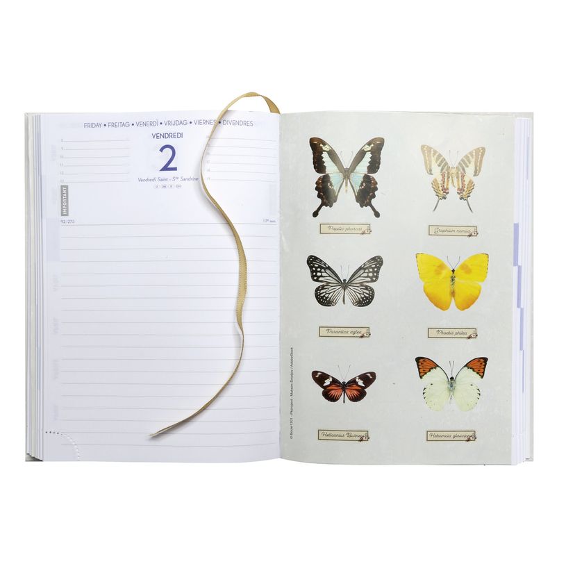 3660942072090-Agenda Curiosités - 1 jour par page - 12 x 17 cm - disponible dans différentes couleurs -P_400005842_9-2