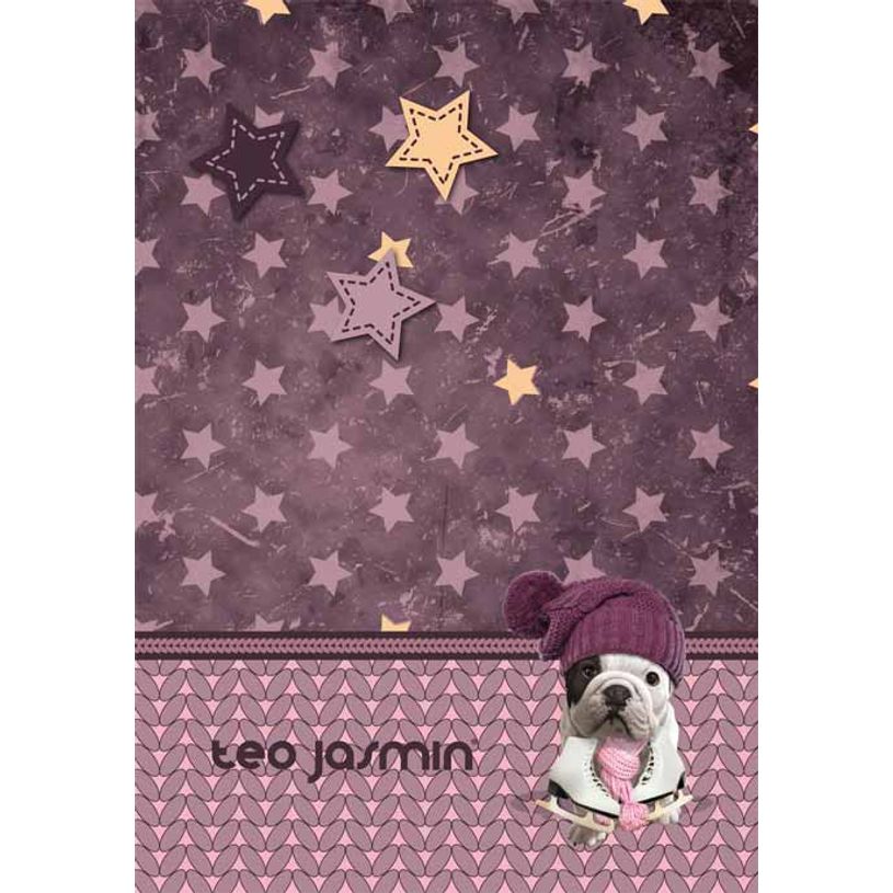 3661507215389-Agenda Teo Jasmin - 1 jour par page - 12 x 17 cm - 2 décors au choix : Mood ou Star - Kid-P_400005965_3-2