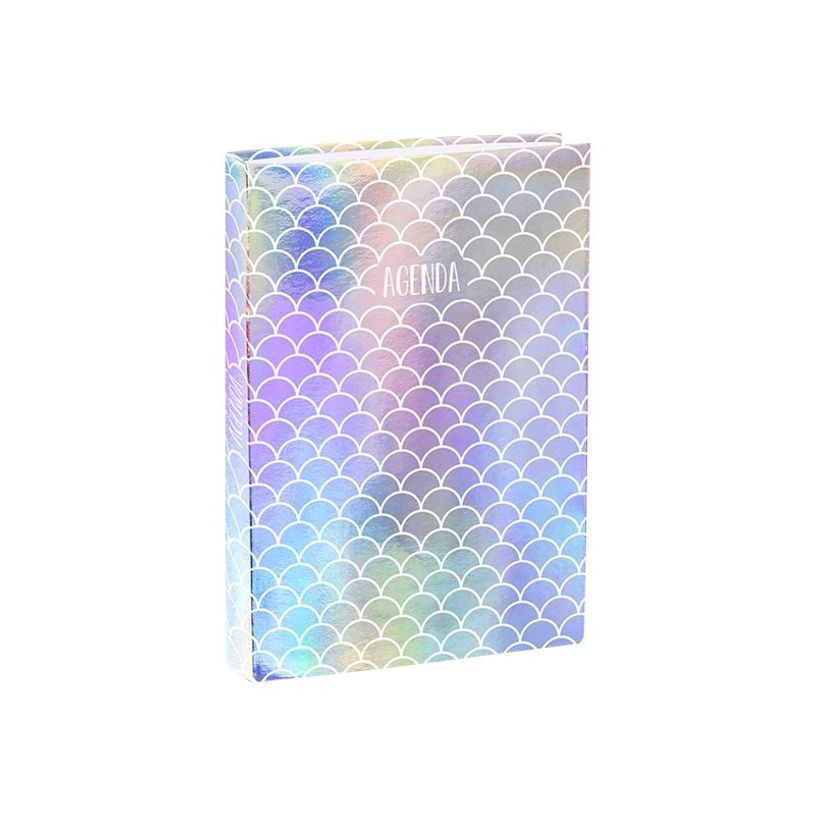 3135257148414-Agenda Holographic - 1 jour par page - 12 x 17 cm - 2 modèles disponibles - Viquel-P_400006537_4-2