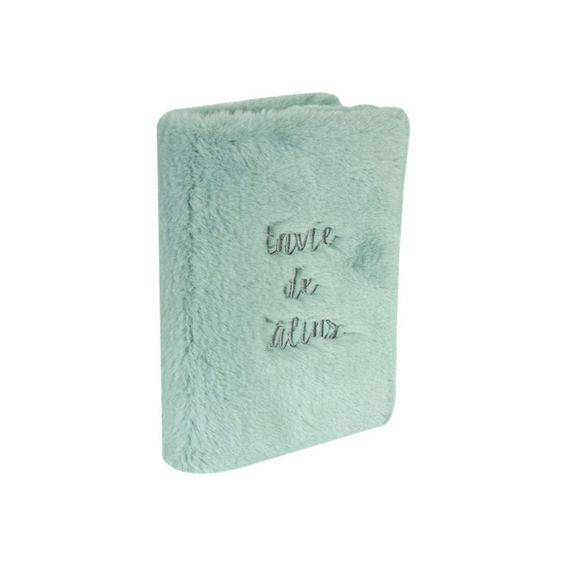 3135257152763-Agenda Douceur - 1 jour par page - 12 x 17 cm - 2 modèles disponibles - Viquel-P_400006542_4-2