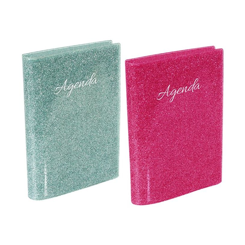 3135257158581-Agenda Glossy - 1 jour par page - 12 x 17 cm - 2 couleurs disponibles - Viquel-P_400006547_2-0