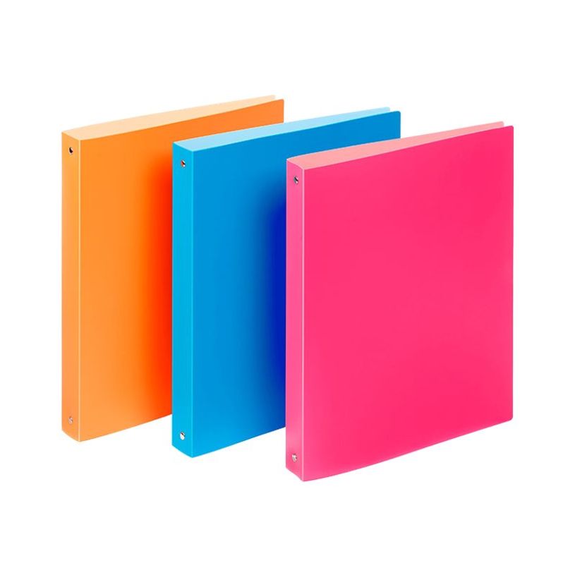 3135252188576-Viquel Future - Classeur à anneaux - A4-P_400006569_1-0