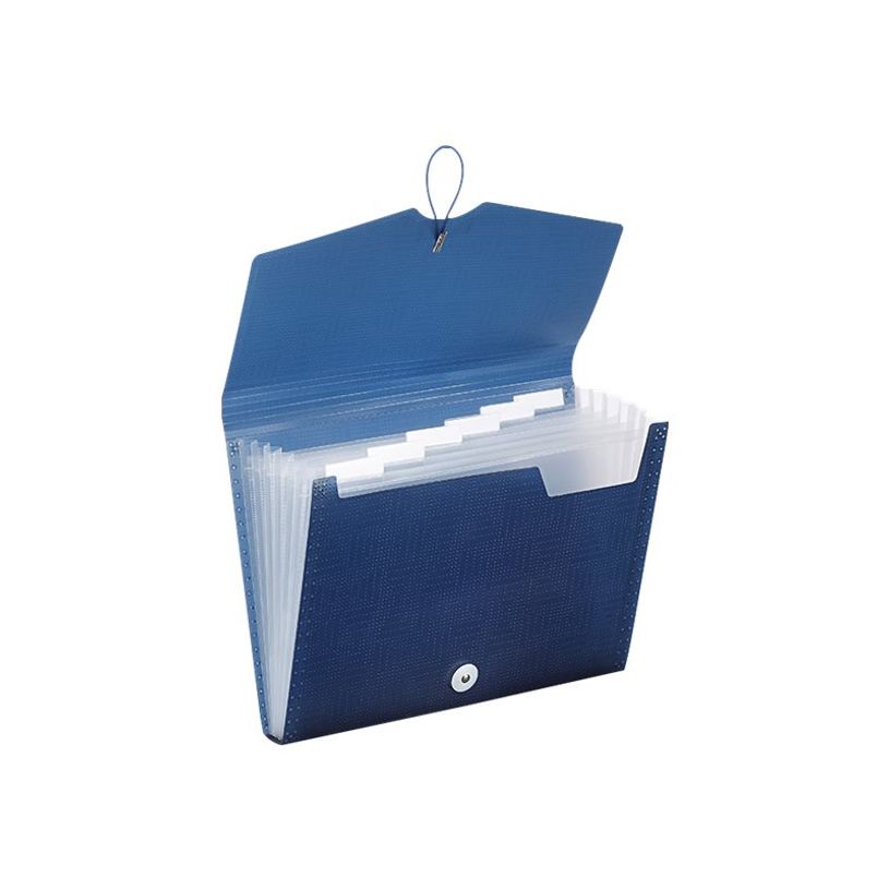 3135251822716-Viquel Illusion - Valisette trieur 6 compartiments - disponible dans différentes couleurs-P_400006585_1-1