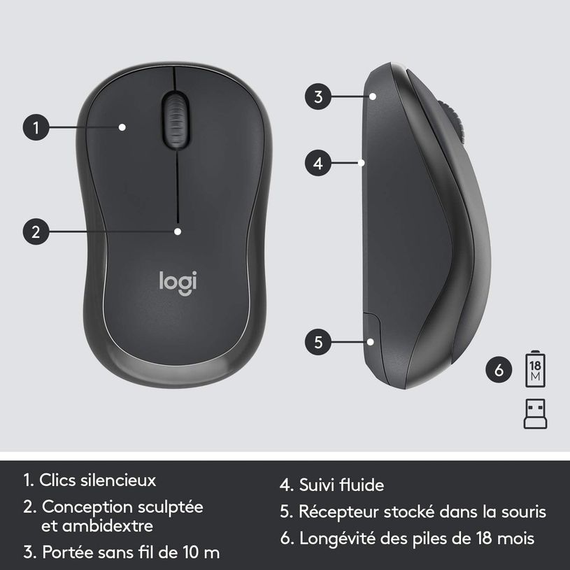5099206092389-Logitech MK295 Silent - Ensemble clavier et souris sans fil - Azerty - graphite-P_400006903_13-10