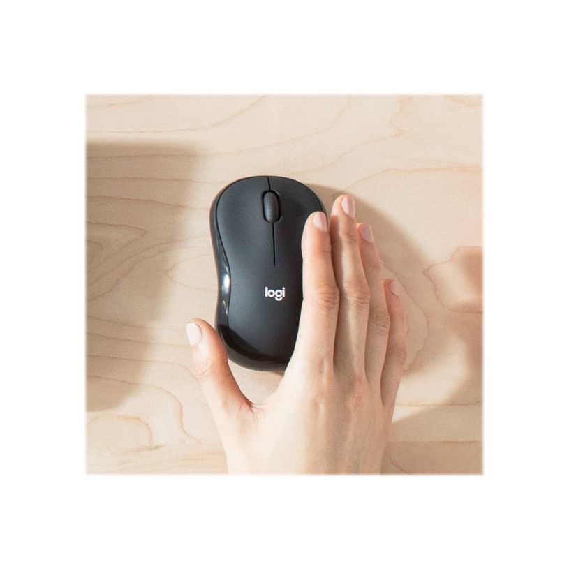 5099206092389-Logitech MK295 Silent - Ensemble clavier et souris sans fil - Azerty - graphite-P_400006903_3-6