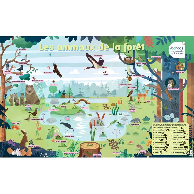 3133097358673-Les Posters phosphorescents - Les Animaux de la forêt-P_400007168_1-0