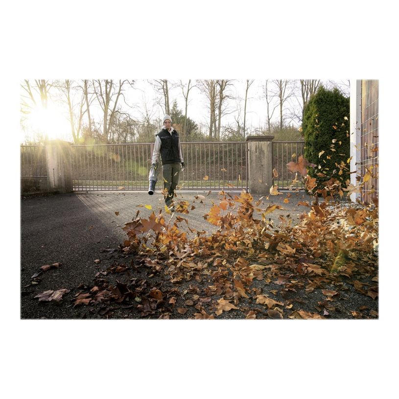 4054278635927-Kärcher LB 930 - Souffleur de feuilles-P_400007469_1-4