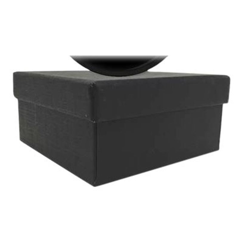 3700572750743-Kiub Bug Art - Presse-papiers dôme - chat sur vélo-P_400007679_1-1