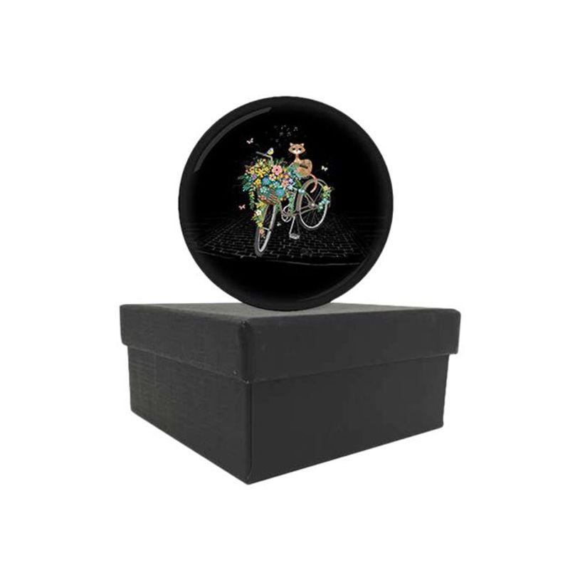 3700572750743-Kiub Bug Art - Presse-papiers dôme - chat sur vélo-P_400007679_2-0