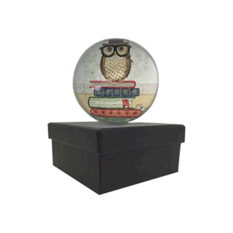3700572715797-Kiub Bug Art - Presse-papiers dôme - chouette sur livre-P_400007680_1-0