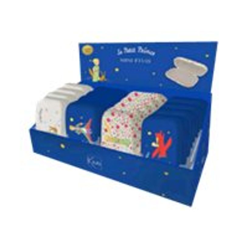 3700572752266-Kiub Le Petit Prince - Mini étui - différents modèles disponibles-P_400007764_1-1