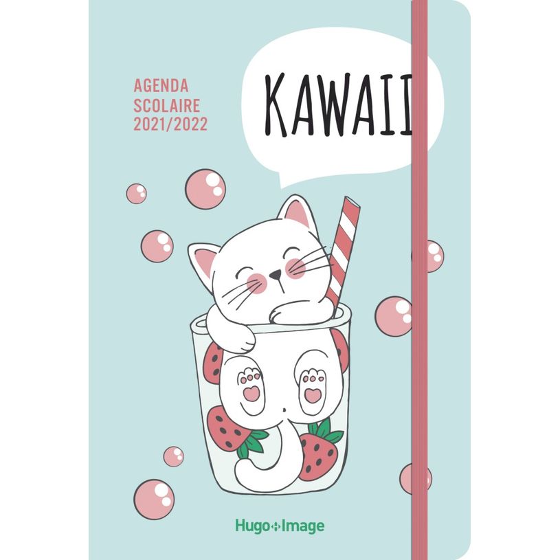 9782755687620-Agenda Kawaï - 1 jour par page-P_400008156_1-0