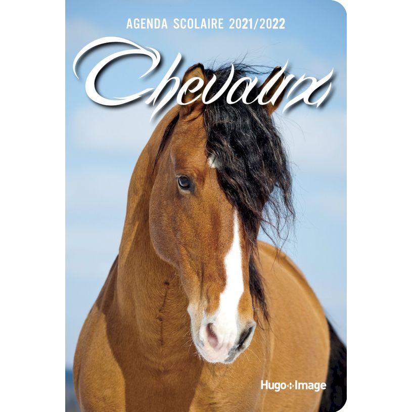 9782755687583-Agenda Chevaux - 1 jour par page-P_400008162_1-0