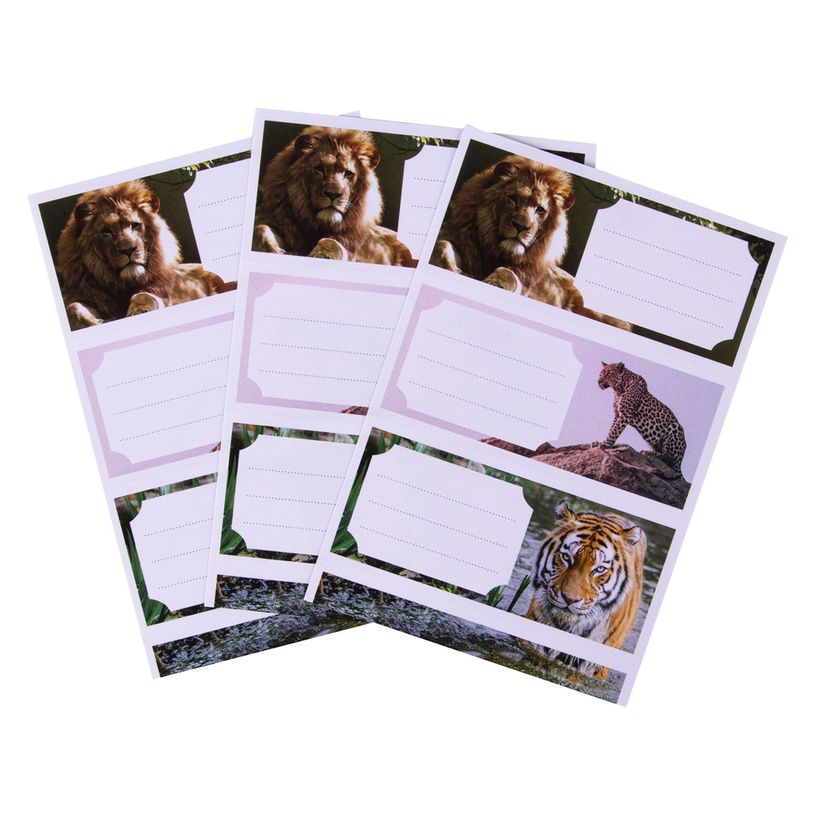8410782184348-Apli Jungle - 9 Étiquettes scolaires - 36 x 81 mm-P_400008553_3-0