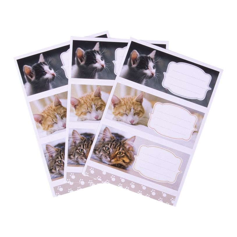 8410782184386-Apli Chats - 9 Étiquettes scolaires - 36 x 81 mm-P_400008557_4-1