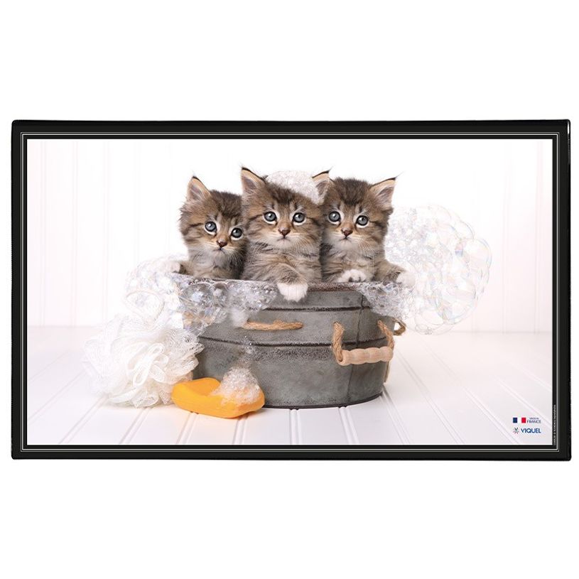 3135251382876-Viquel - Sous-main Animaux - 59,8 x 36,5 cm - disponible dans différents modèles-P_400008663_2-1