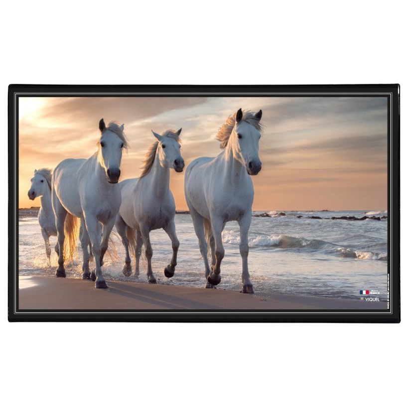 3135251382876-Viquel - Sous-main Animaux - 59,8 x 36,5 cm - disponible dans différents modèles-P_400008663_3-2