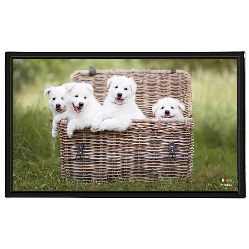 3135251382876-Viquel - Sous-main Animaux - 59,8 x 36,5 cm - disponible dans différents modèles-P_400008663_4-3