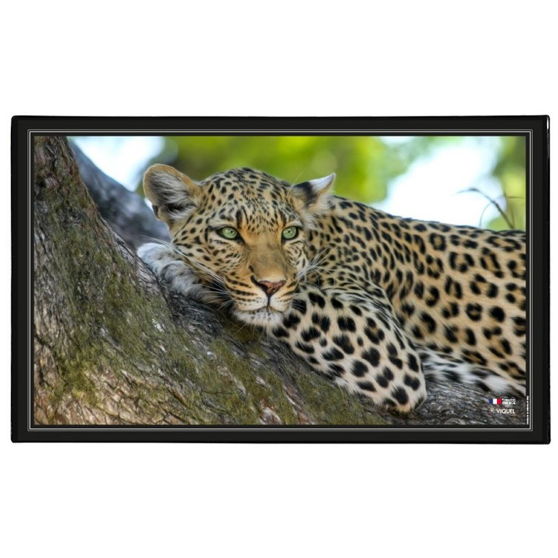3135251382876-Viquel - Sous-main Animaux - 59,8 x 36,5 cm - disponible dans différents modèles-P_400008663_5-4