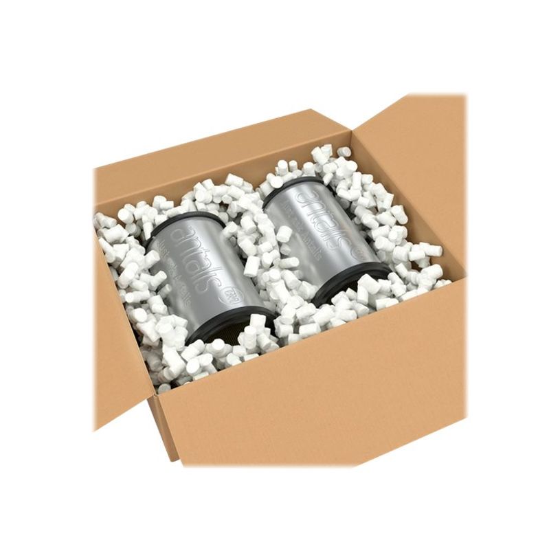 3597320278990-Particules de calage - Sac de 425L - Antalis-P_400008735_1-0