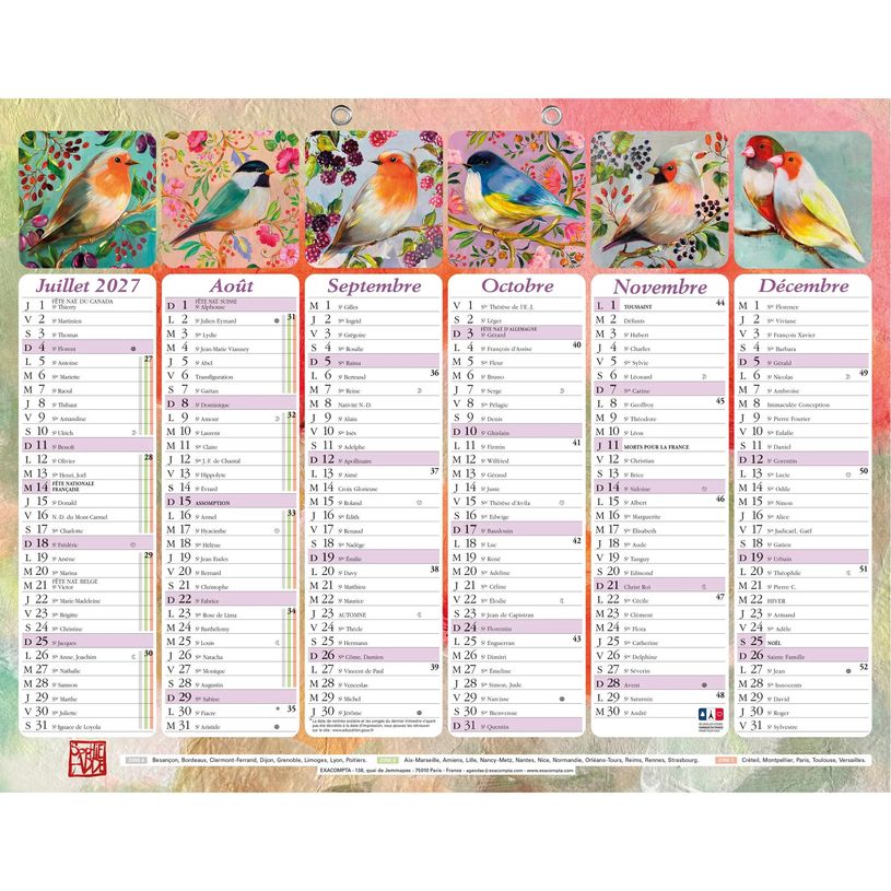 3660942074568-Calendrier illustré Sophie Adde - 6 mois par face - 43 x 33,5 cm - Exacompta--1