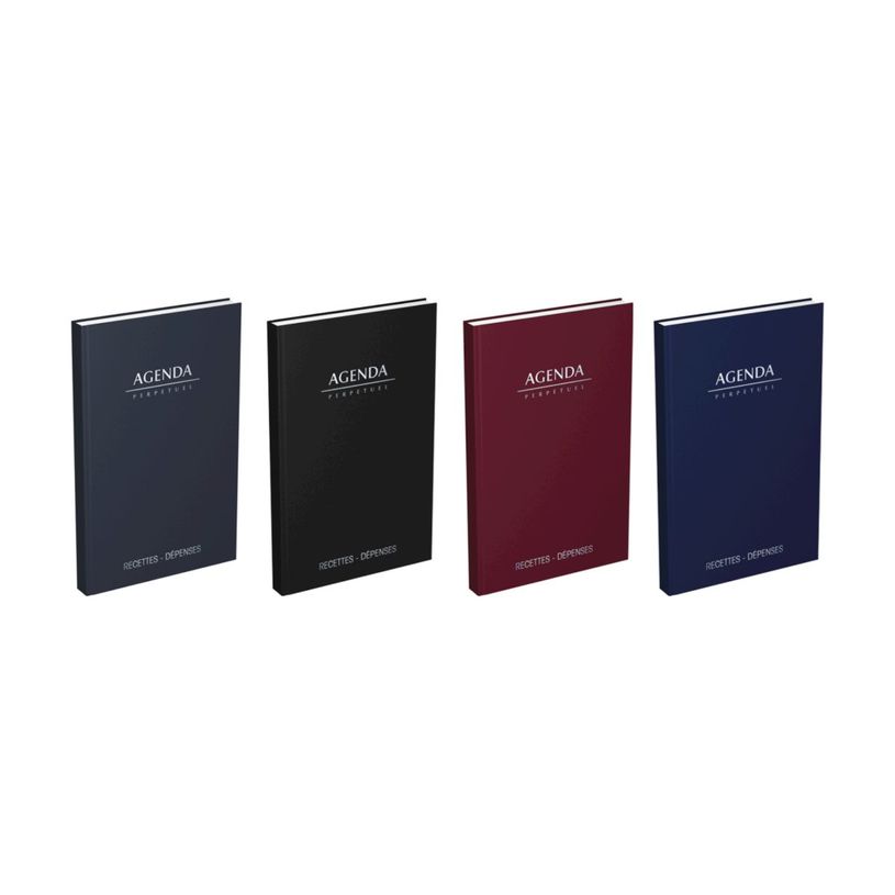 3147280114496-Agenda perpétuel Lecas Recettes-Dépenses - 1 jour par page - 14 x 22 cm - disponible dans différente--0