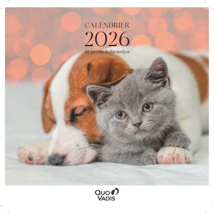 3371010469284-Quo Vadis - Calendrier à feuilles Animaux - 30 x 30 cm--0