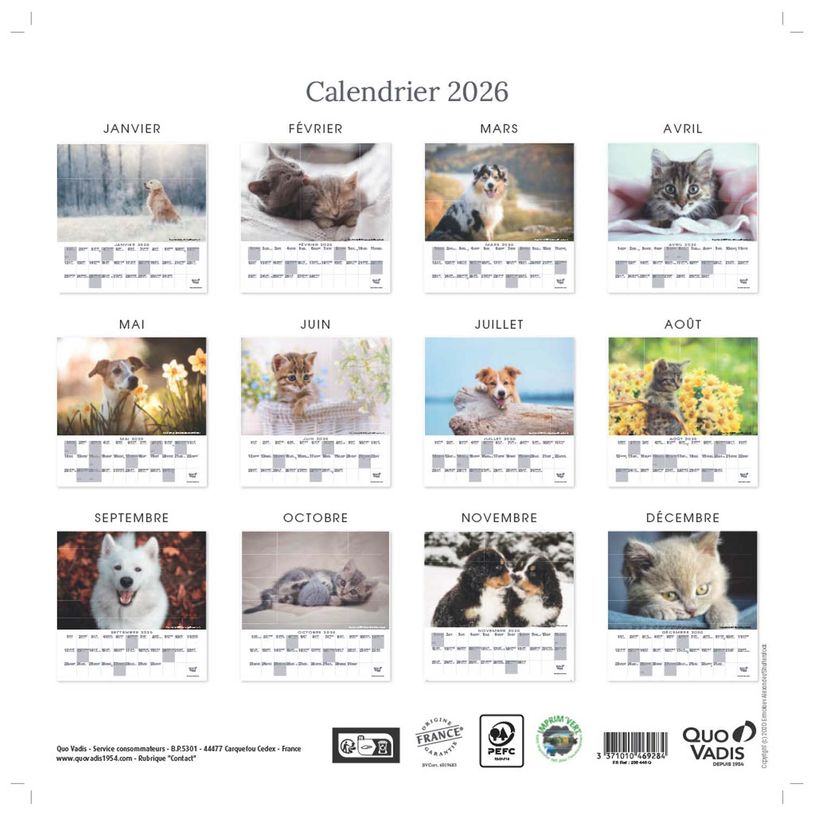 3371010469284-Quo Vadis - Calendrier à feuilles Animaux - 30 x 30 cm--1