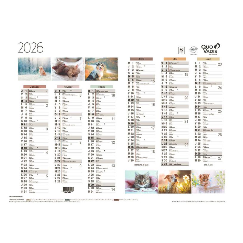 3371010469253-Quo Vadis - Calendrier Fantaisie 6 mois par face - 55 x 40,5 cm - animaux--0