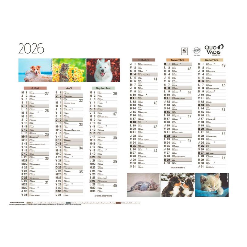 3371010469253-Quo Vadis - Calendrier Fantaisie 6 mois par face - 55 x 40,5 cm - animaux--1