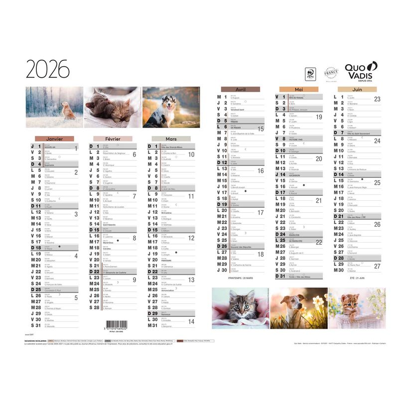 3371010469222-Quo Vadis - Calendrier Fantaisie 6 mois par face - 43 x 33,5 cm - animaux--0