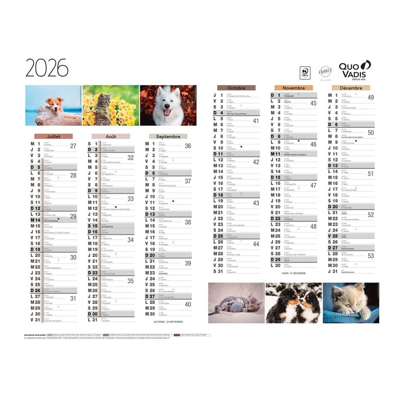 3371010469222-Quo Vadis - Calendrier Fantaisie 6 mois par face - 43 x 33,5 cm - animaux--1
