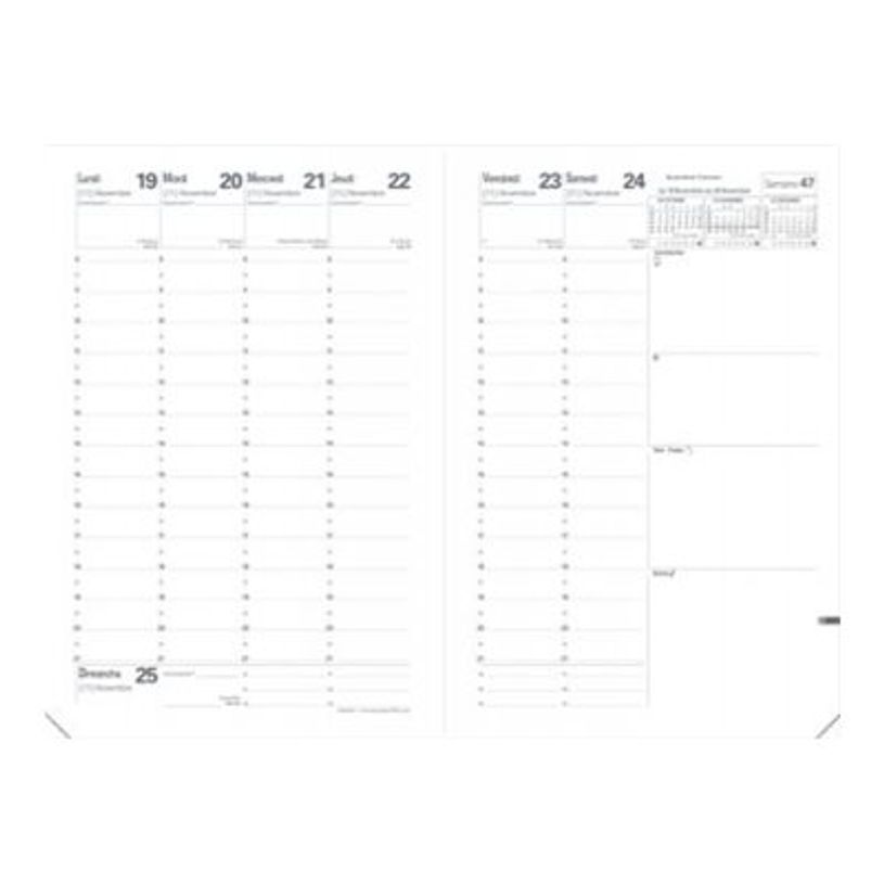 3371010465248-Agenda Shaman avec élastique - 1 semaine sur 2 pages - 16 x 24 cm - frite - Quo Vadis-P_400009701_3-1