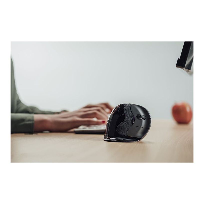 8719274674450-Bakker Elkhuizen Evoluent D - souris filaire ergonomique pour droitier - grande taille-P_400009842_4-8