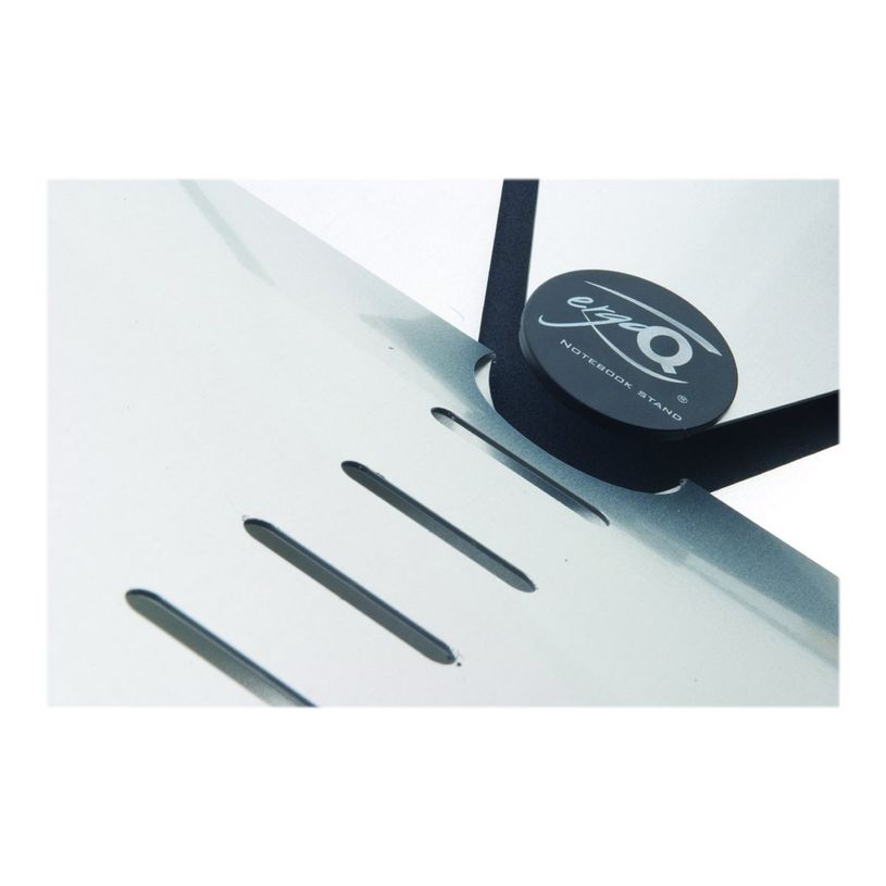 8717399990806-Bakker Elkhuizen Ergo-Q 260 - support pour ordinateur portable -P_400009873_22-22
