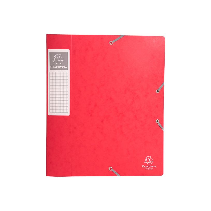 3141879001600-Exacompta - 10 Boîtes de classement en carte lustrée - dos 60 mm - couleurs assorties (l-P_400010552_2-1