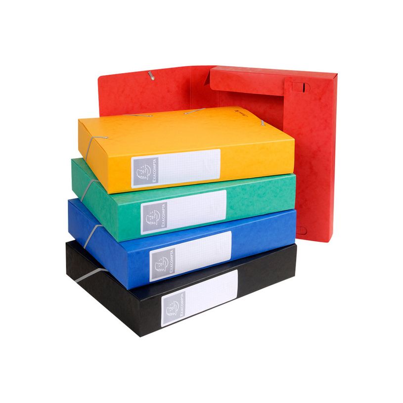 3141879001600-Exacompta - 10 Boîtes de classement en carte lustrée - dos 60 mm - couleurs assorties (l-P_400010552_3-2