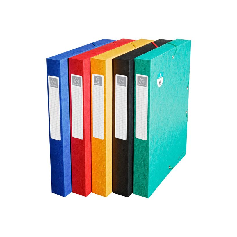 3130632508104-Exacompta Exabox - 10 Boîtes de classement en carte lustrée - dos 40 mm - couleurs assor-P_400010574_3-2