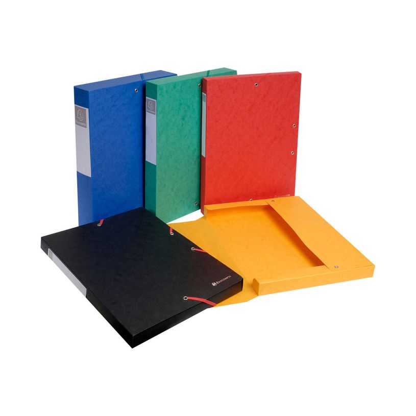 3130631509102-Exacompta Exabox - 10 Boîtes de classement en carte lustrée - dos 60 mm - couleurs assor-P_400010580_2-1