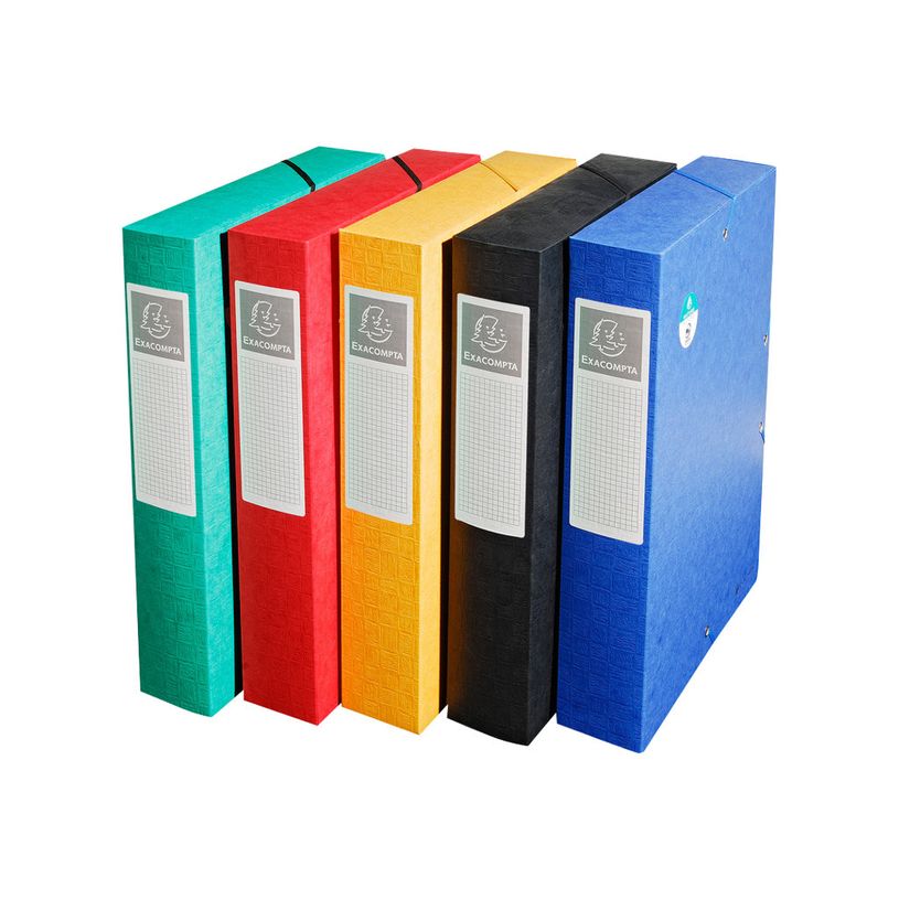 3130631509102-Exacompta Exabox - 10 Boîtes de classement en carte lustrée - dos 60 mm - couleurs assor-P_400010580_3-2