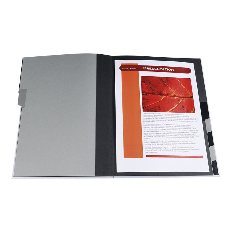 3130632539269-Exacompta Harmonika Iderama - 6 Trieurs 12 positions - violet-P_400010700_1-1