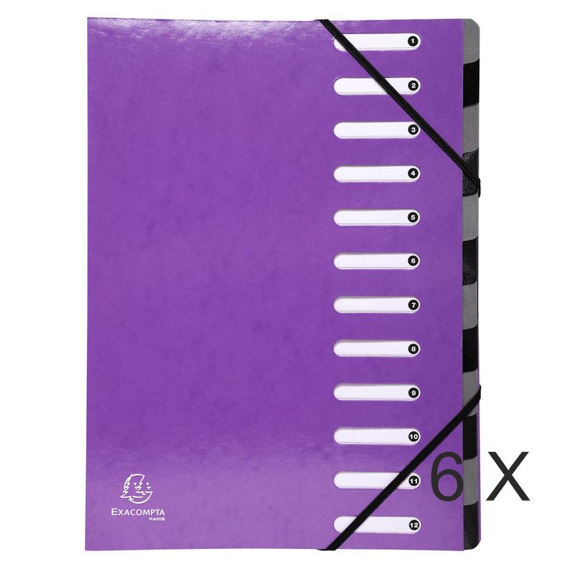 3130632539269-Exacompta Harmonika Iderama - 6 Trieurs 12 positions - violet-P_400010700_2-0