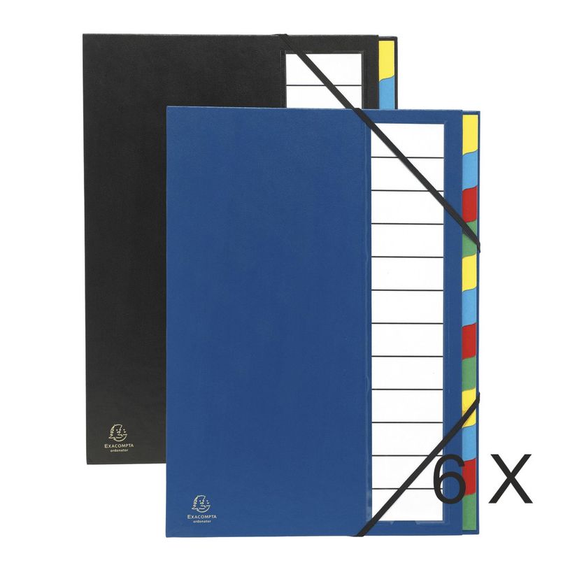 3130632553401-Exacompta Ordonator - 6 Trieurs 12 positions - couleurs assorties-P_400010733_1-0