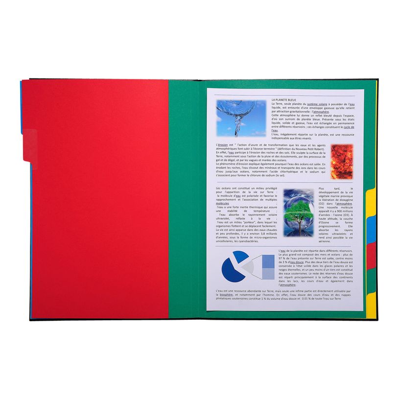 3130632553401-Exacompta Ordonator - 6 Trieurs 12 positions - couleurs assorties-P_400010733_2-1