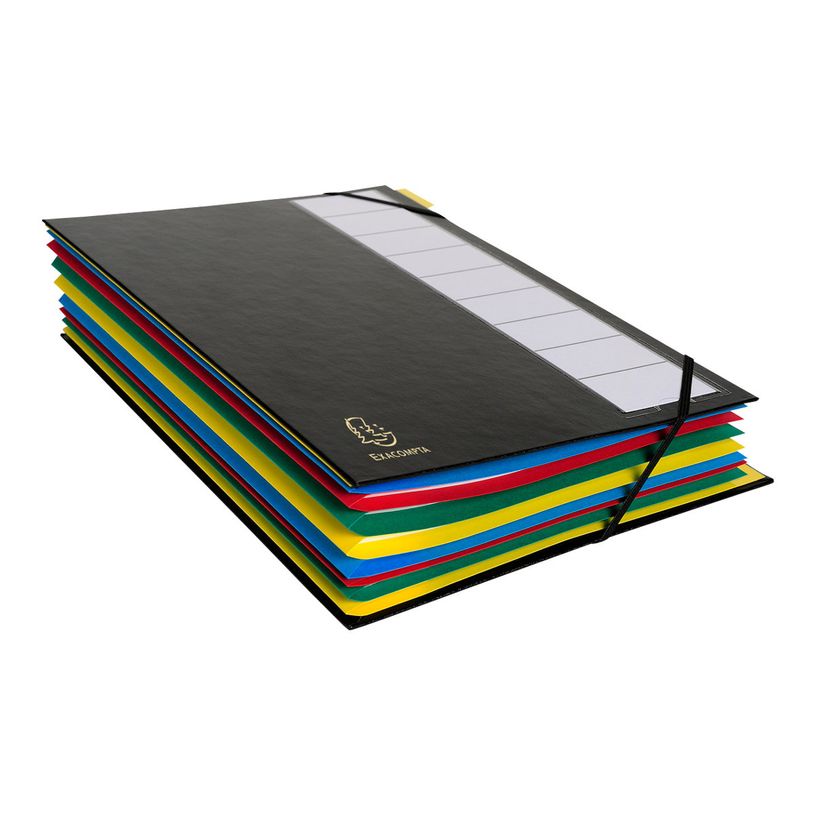3130632553401-Exacompta Ordonator - 6 Trieurs 12 positions - couleurs assorties-P_400010733_3-2