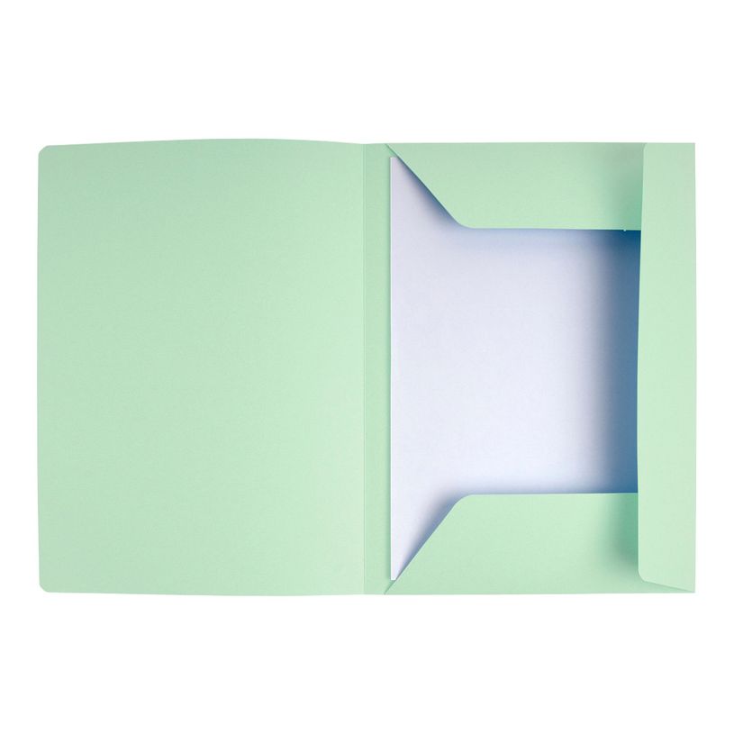 3288582350042-Exacompta Super 210 - 50 Chemises imprimées - 210 gr - vert clair-P_400010869_2-1